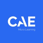 CAE Micro Learning
