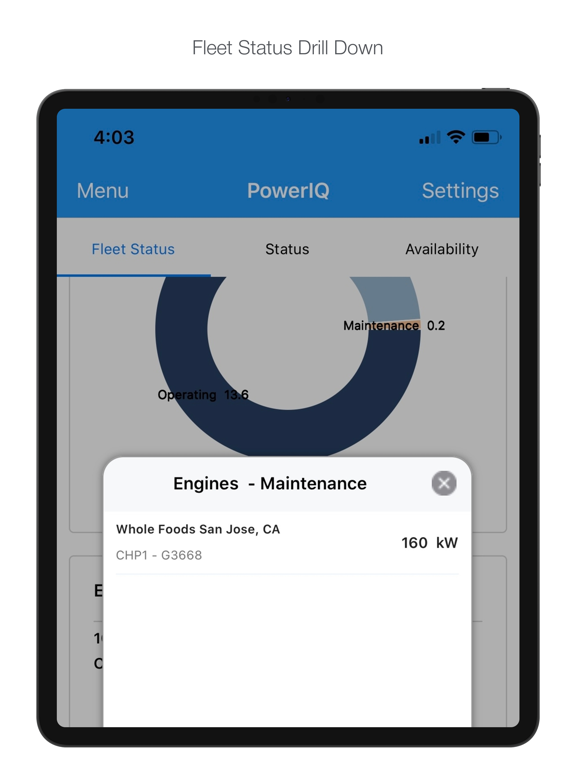 Power IQ Mobile iPad screenshot 3 - Business app