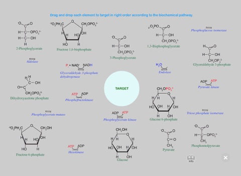 The Glycolysis screenshot 4