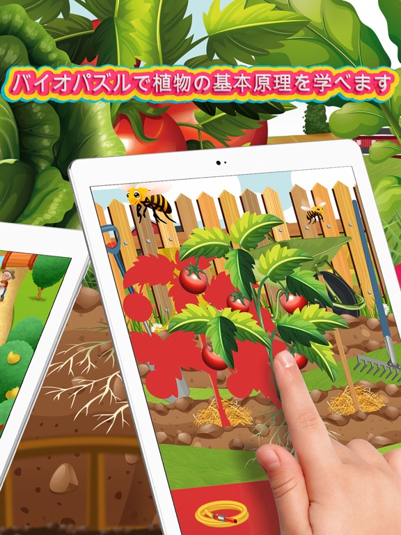 Moona Puzzles Vegetables ワードパワーのおすすめ画像4