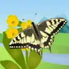 Butterfly Guide - Europe Positive Reviews, comments