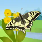 Butterfly Guide - Europe App Positive Reviews