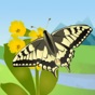 Butterfly Guide - Europe app download