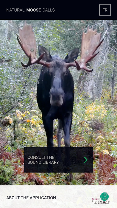 Natural Moose Calls Screenshot