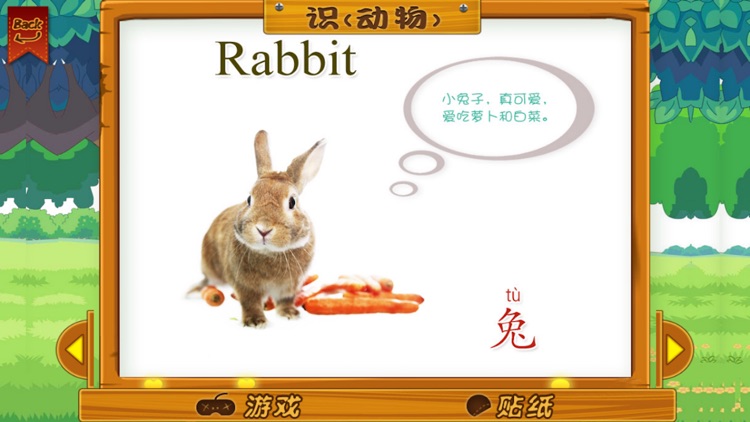 宝宝卡片-动物大全