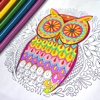 Owls & Birds Anti Stress Coloring Pages for Adults