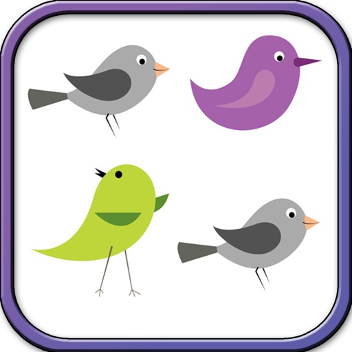 Fun Learning Birds Shapes Stencil for Toddlers Icon