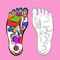 Reflexology, also known as zone therapy, is an alternative medicine involving application of pressure to the feet and hands with specific thumb, finger, and hand techniques without the use of oil or lotion