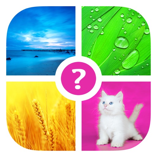 Words & Pics ~ Free Photo Quiz. What's the word? iOS App