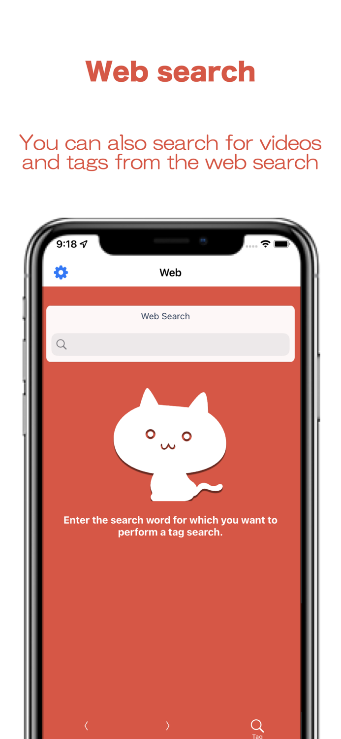 Video tag extraction
