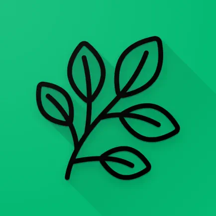 Kräuterkunde Читы