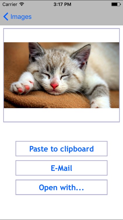 iClipboard - Clipboard manager