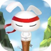 Kungfu Rabbit Dash