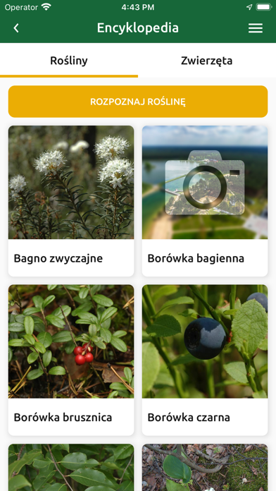 Janów Lubelski Screenshot