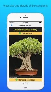How to cancel & delete sgsbonsai 3