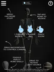 skelly - art model ipad images 2
