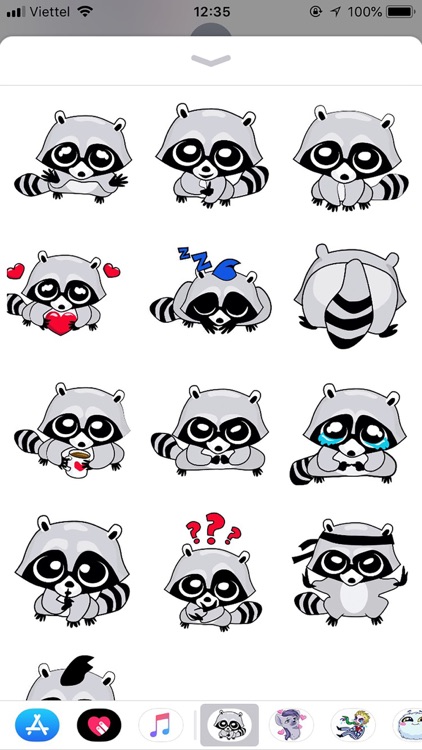 Raccoon Cute Funny Stickers