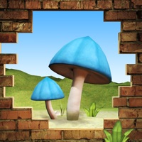 Projets de champignons pour PC