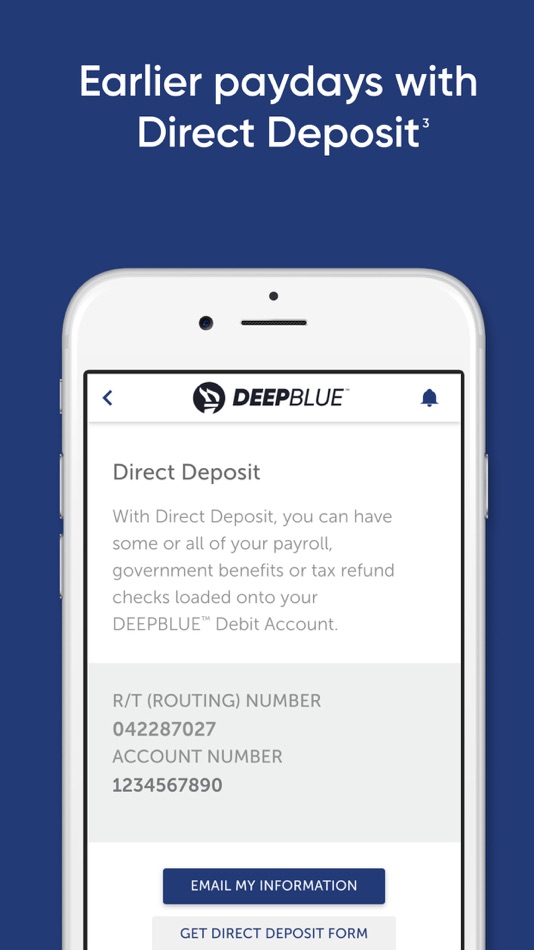 #2. DEEPBLUE Debit (iOS) By: NETSPEND CORPORATION