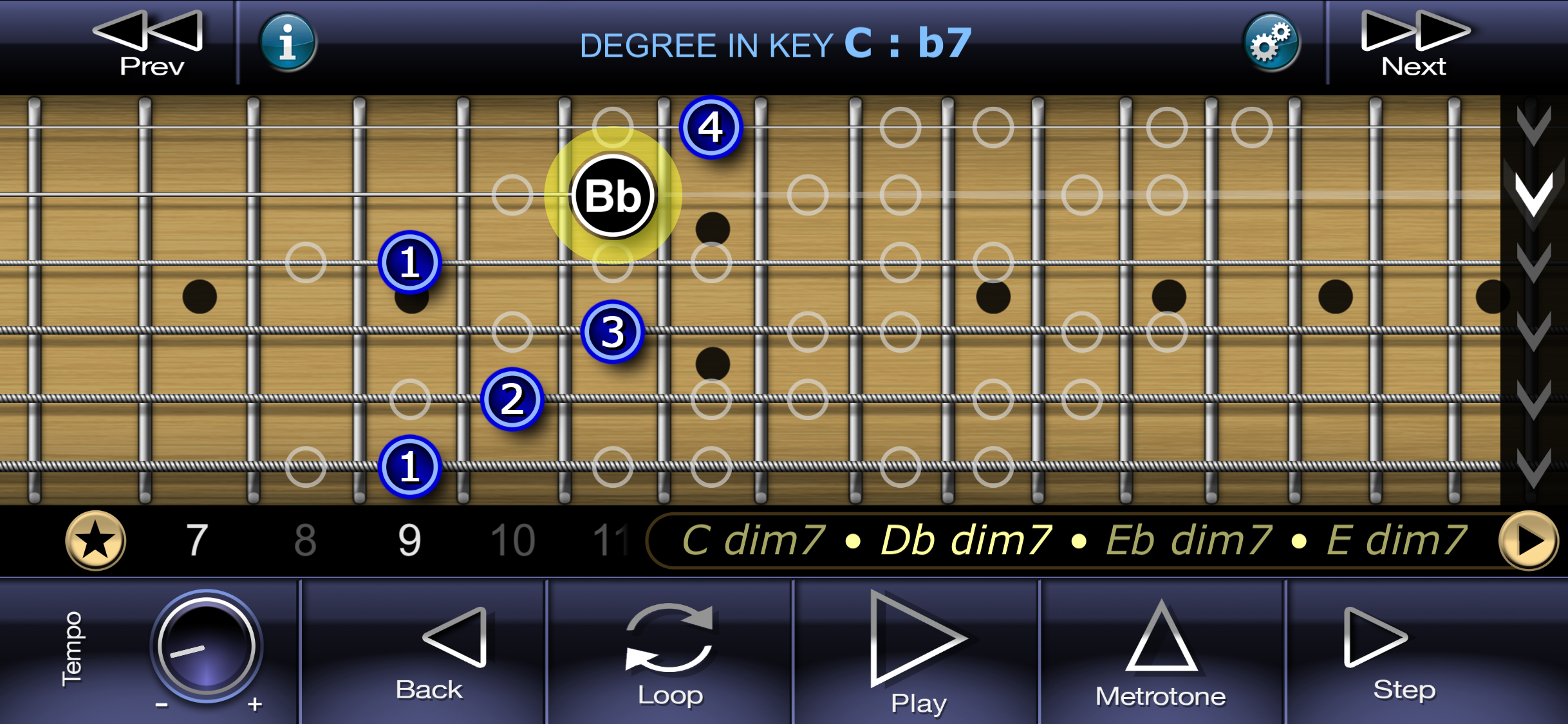 Economy Picking Guitar School screenshot 4