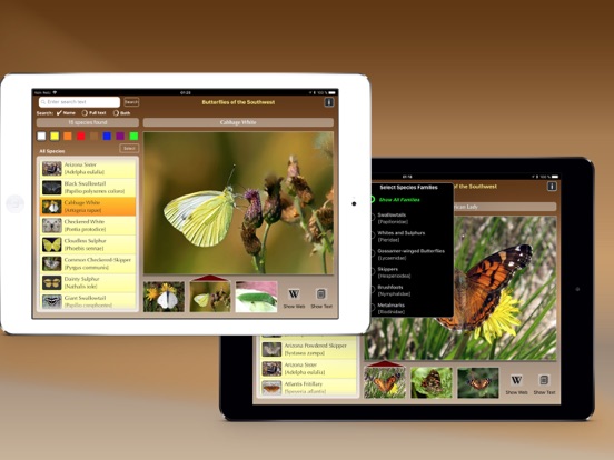 Screenshot #6 pour Butterflies of the Southwest
