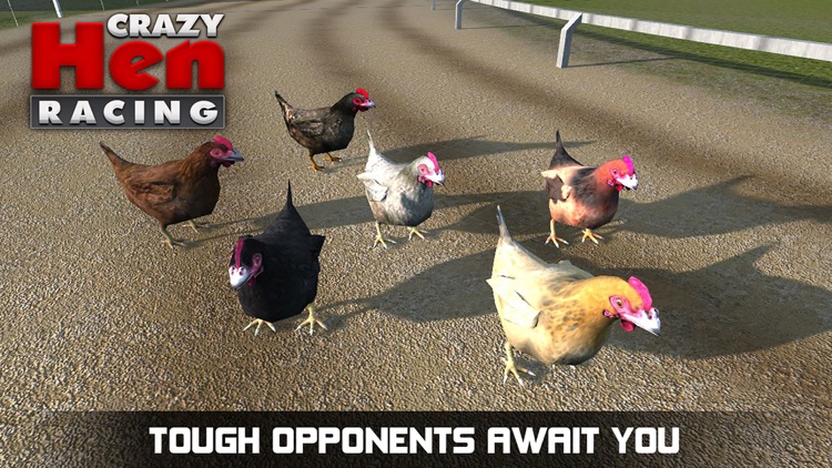 Hen Racing Simulator - Race Free Range Chickens screenshot-4