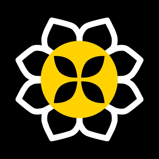 Sunshine Dance & Bright Lights