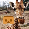 360 VR Giraffe - Nature VR App for Kids