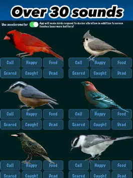 Game screenshot Game4Cats a Bird Hunting Game for Cats hack