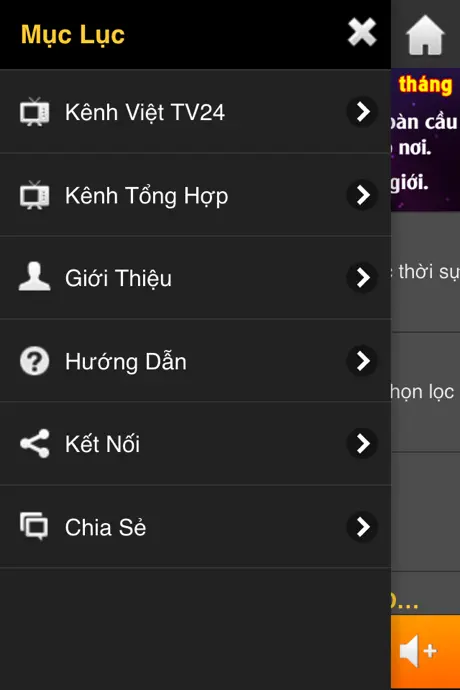 Viet TV24