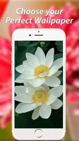 Game screenshot Amazing Flower Wallpapers HD hack