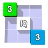 IQ Cube Puzzel Blocks