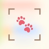 Puppy Scanner icon