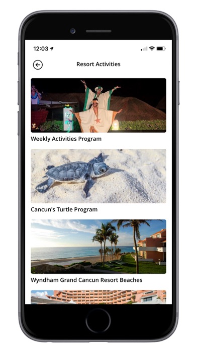Wyndham Grand Cancun Screenshot