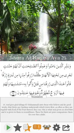 Visual Quran iPhone image 2