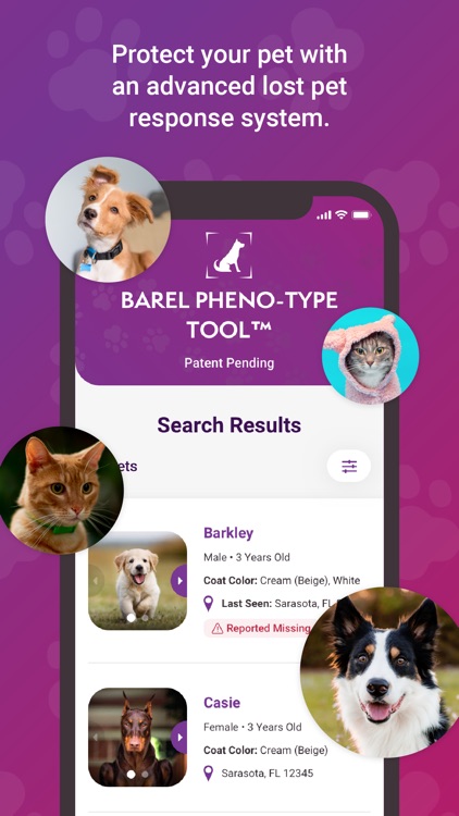 My BAREL screenshot-4