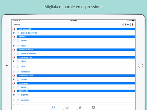 Offline French Italian Dictionaryのおすすめ画像3