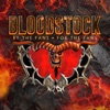 Bloodstock Open Air icon