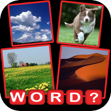 Activities of Find the Word? Pics Guessing Quiz