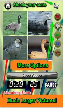 Game screenshot Duck Master: Duck ID Quiz Game apk