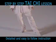 tai chi for beginners 24 form ipad images 3