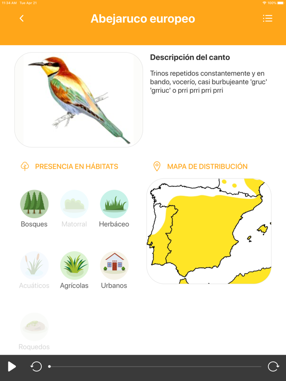 Screenshot #6 pour Avefy - SEOBirdlife