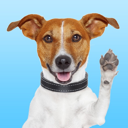 JackMoji - Stickers & Keyboard for Jack Russells