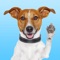 Get the cutest emoji stickers and keyboard for all the Jack Russell lovers