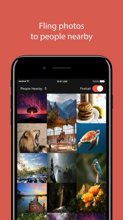 Fireball - Shake & Share Photos