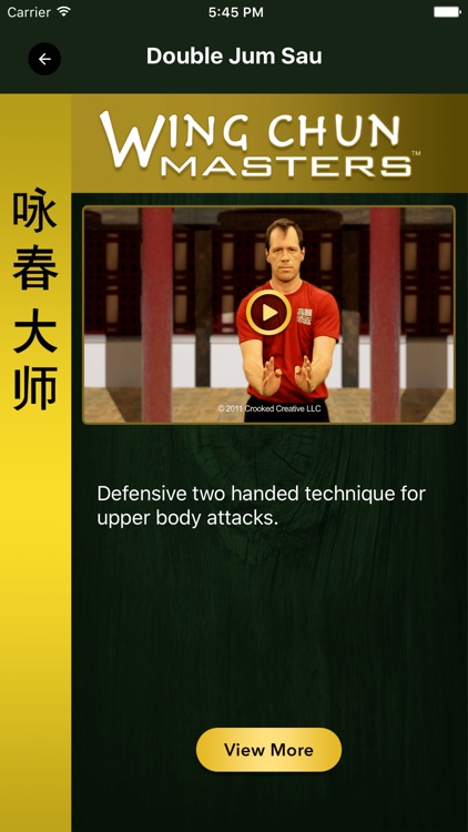 Wing Chun Masters 2 - HD