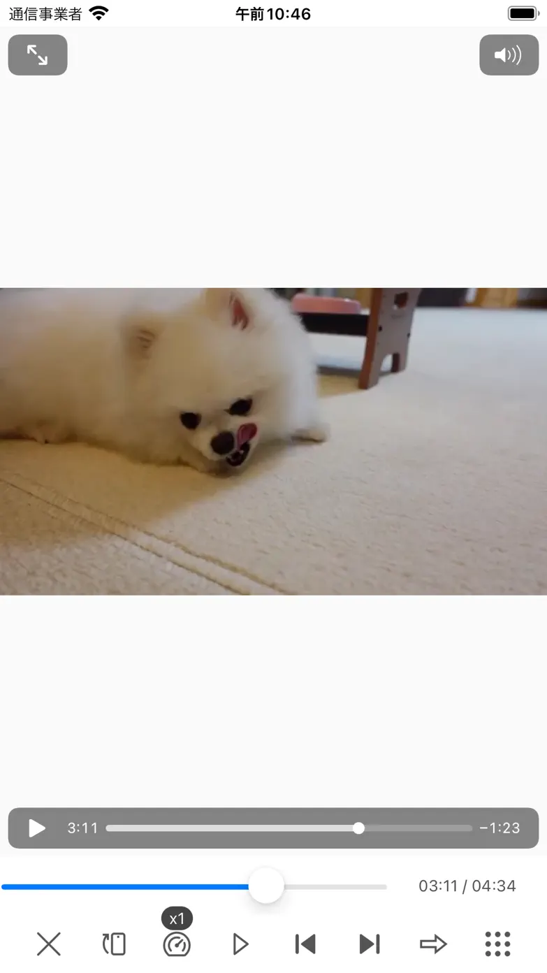 動画保存 / バックグラウンド再生 / iCap App Store screenshot 1