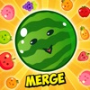 Watermelon Fruit Merge Game 3D icon