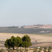 Camping La Campiña