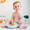 Baby Led Weaning Recipes Plus icon